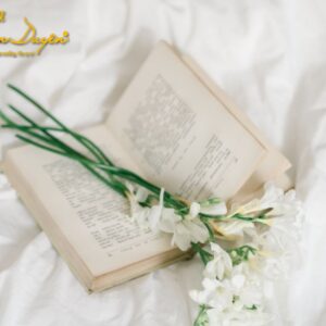 Cách chọn chăn mền khách sạn theo mùa và hạng phòng - GoldenSilk
