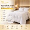 Chăn mền khách sạn GoldenSilk — 824