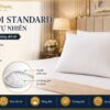 Ruột gối Standard bông gòn tự nhiên - GoldenSilk
